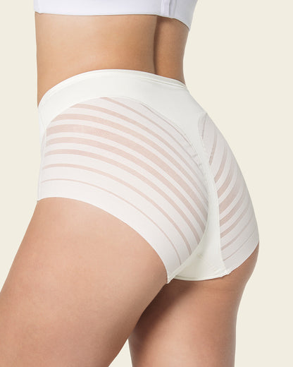  Lace Stripe Undetectable Classic Shaper Knicker