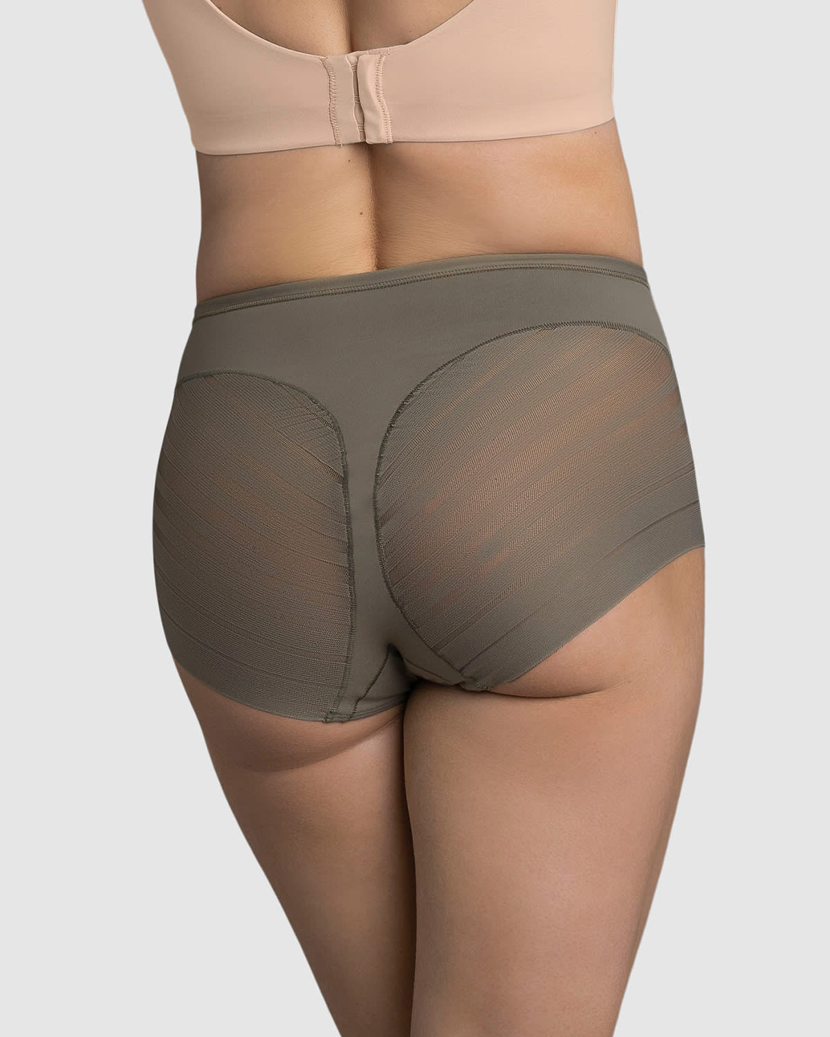  Lace Stripe Undetectable Classic Shaper Knicker