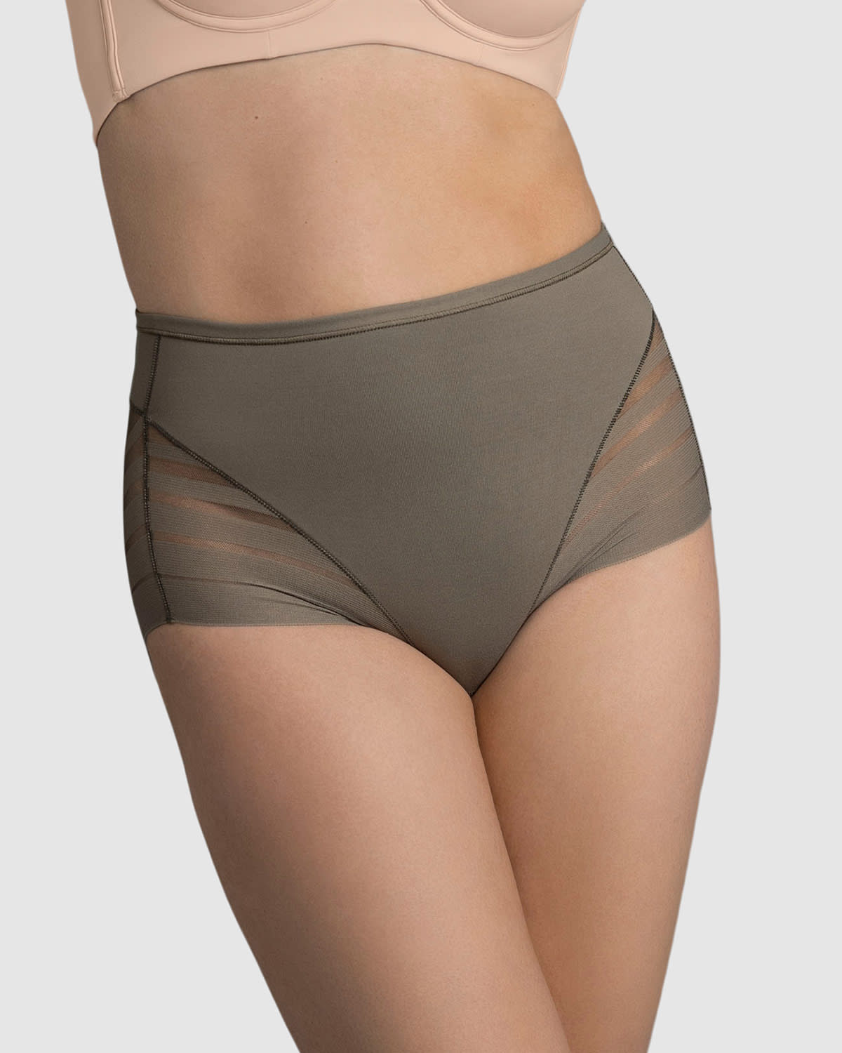  Lace Stripe Undetectable Classic Shaper Knicker