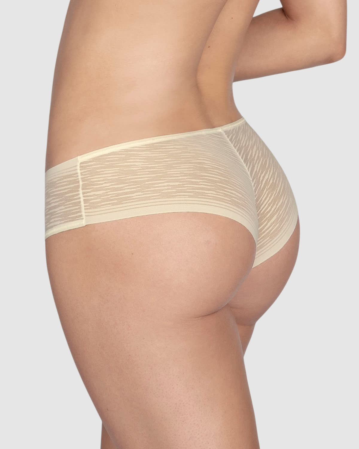  Sheer Lace Hipster Knicker