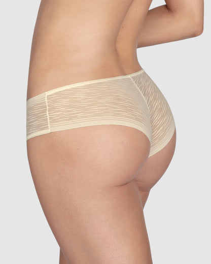  Sheer Lace Hipster Knicker